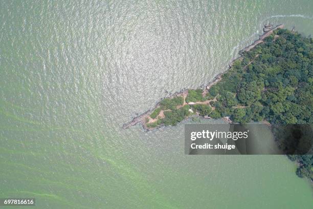 aerial view of longtouzhu park - oscillatoria tenuis stock pictures, royalty-free photos & images