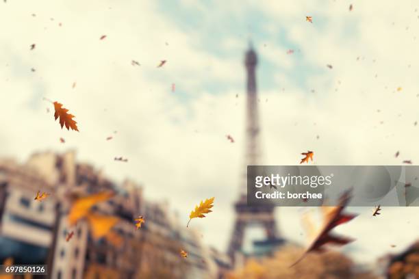 autumn in paris - windy city stock pictures, royalty-free photos & images