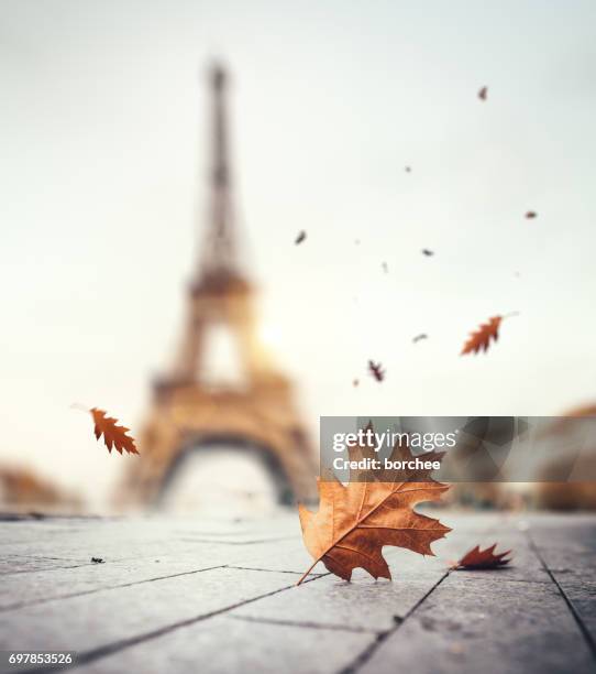 autumn in paris - tourism drop in paris stock pictures, royalty-free photos & images