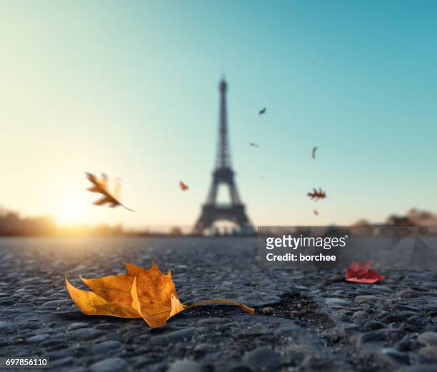 falling autumn leaves in paris - tourism drop in paris stock pictures, royalty-free photos & images