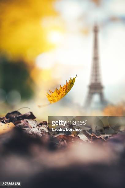 autunno a parigi - tourism drop in paris foto e immagini stock