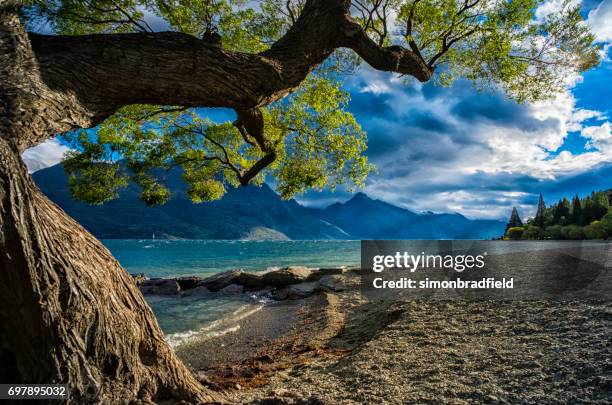 lake wakatipu on new zealand's south island - lake wakatipu stock pictures, royalty-free photos & images