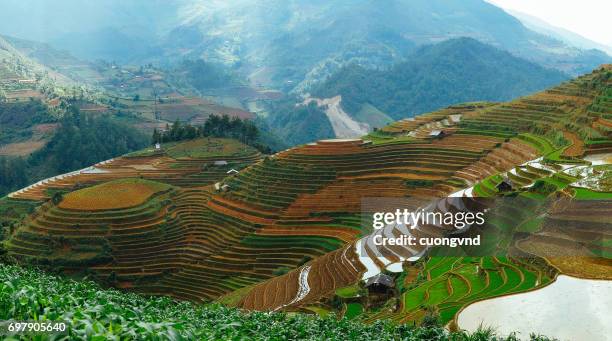 rice fields on terraces with irrigation system - ubud rice fields stock pictures, royalty-free photos & images