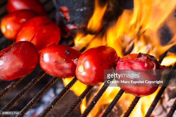 grilled tomatoes - brasa stockfoto's en -beelden