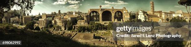 panoramic view of the roman forum from palatine hill - faustina temple stock pictures, royalty-free photos & images