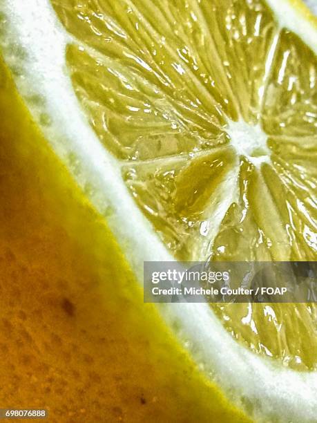 Lemon Cross Section Photos and Premium High Res Pictures - Getty Images