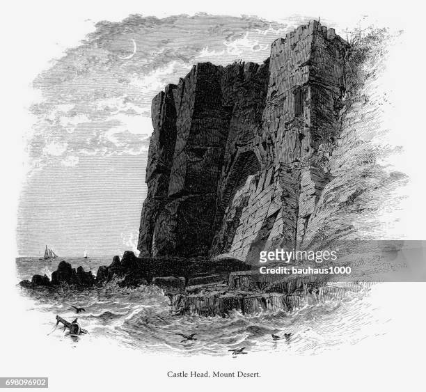 城堡的頭，裝入沙漠島，緬因州，美國，美國維多利亞時代雕刻 1872 - hancock county 幅插畫檔、美工圖案、卡通及圖標