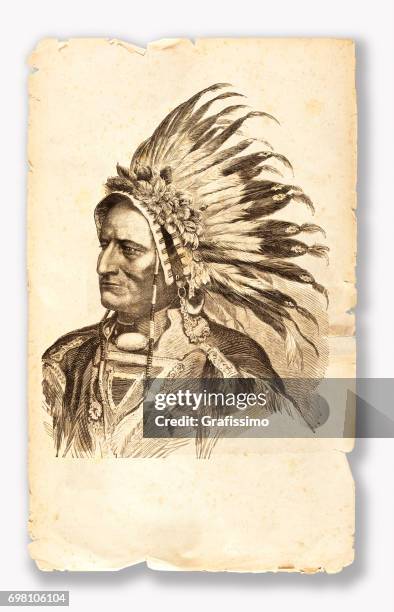sitting bull indianischen stammes chef 1881 - indianischer abstammung stock-grafiken, -clipart, -cartoons und -symbole