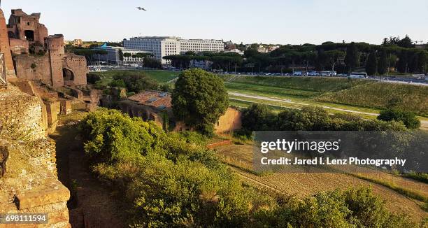 circus maximus seen from palatine hill (rome) - circo máximo fotografías e imágenes de stock