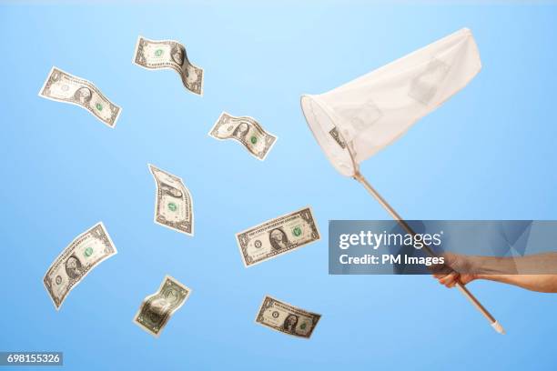 catching dollar bills with a net - butterfly net stock pictures, royalty-free photos & images