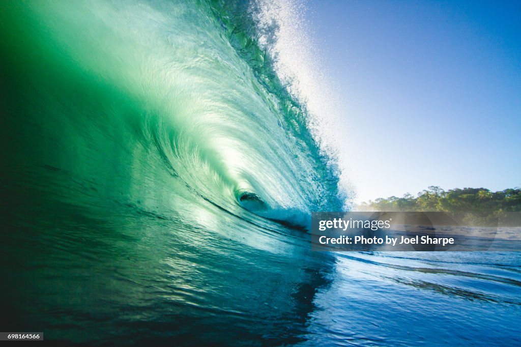 Green Jungle Wave