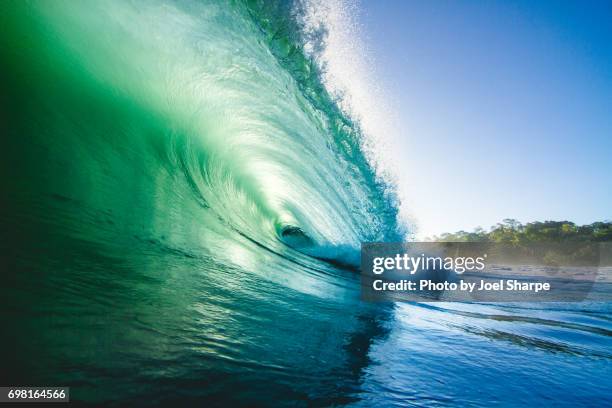 green jungle wave - costa rica forest stock pictures, royalty-free photos & images