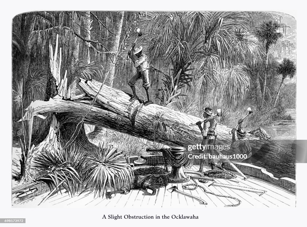 Obstruction on the Ocklawaha River, Florida Swamp, Florida, United States, American Victorian Engraving, 1872
