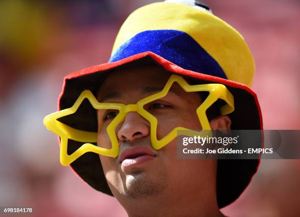 An Ecuador fan shows support for his team in the stands