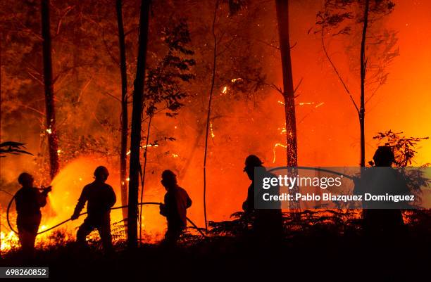 National Republican Guards GIPS and firefighters try to extinguish a fire in a forest after a wildfire took dozens of lives on June 19, 2017 near...
