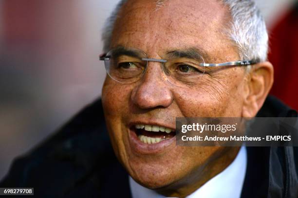 Fulham manager Felix Magath