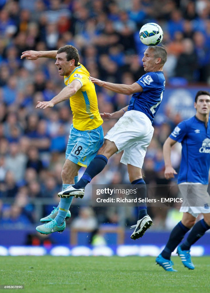 Soccer - Barclays Premier League - Everton v Crystal Palace - Goodison Park