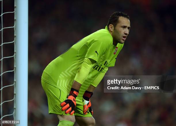 Arsenal's David Ospina during the game