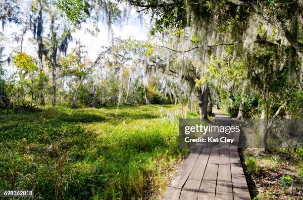 jean lafitte national historical park and reserve - louisiana swamp stockfoto's en -beelden