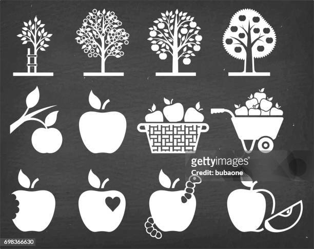 illustrations, cliparts, dessins animés et icônes de apple tree culture et agriculture biologique vector icon set - pomme croquée