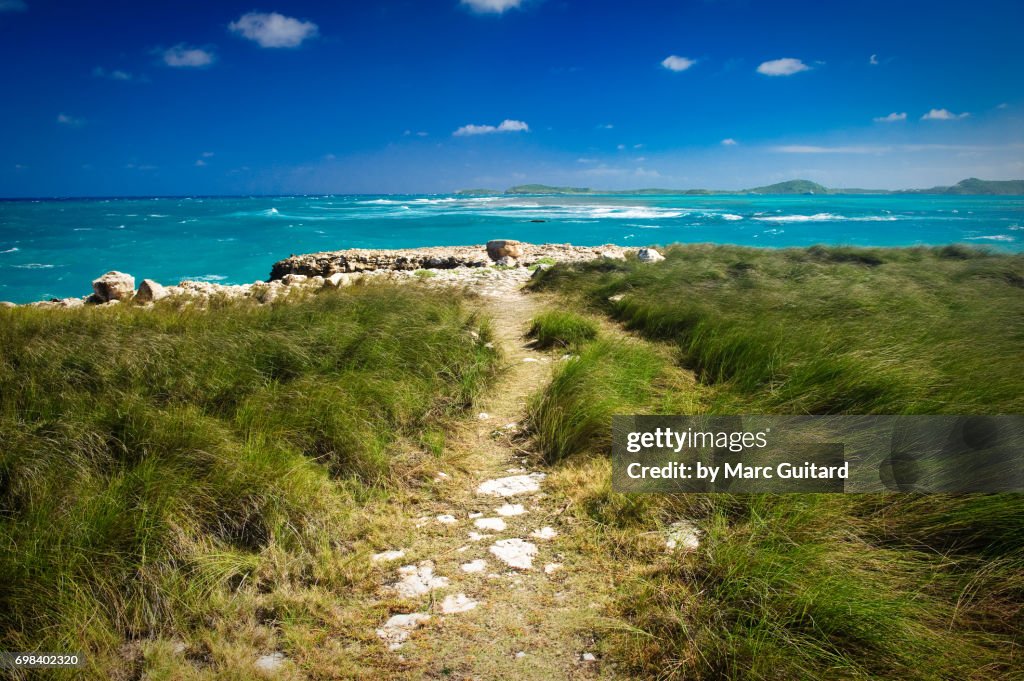 Path Leading to the Caribbean Sea, Saint Philip Parish, Antigua