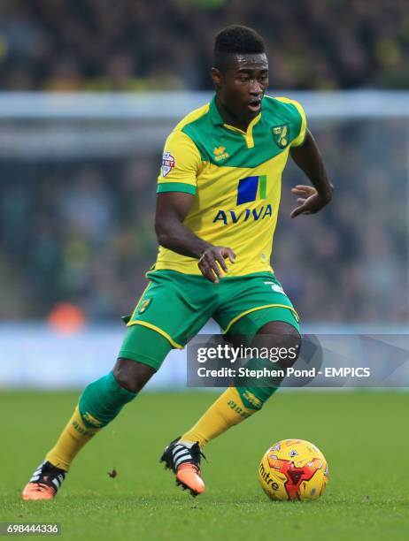 Alexander Tettey, Norwich City