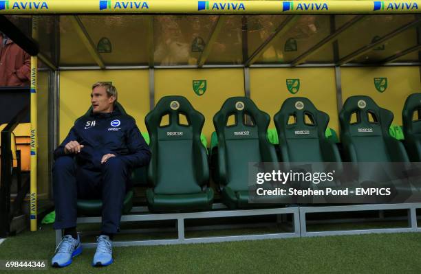 Brighton and Hove Albion Manager Sami Hyppia on the bench