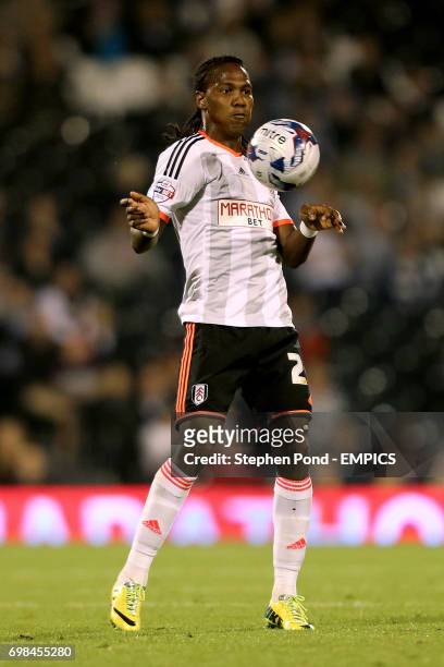 Fulham's Hugo Rodallega