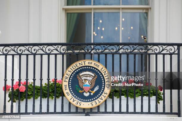 Bird with a feather in its beak, sits on the rail on the verandah of the South Portico of the White House, on Monday, June 19, 2017.