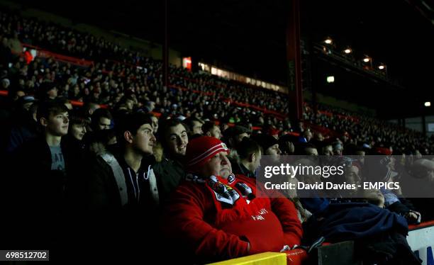 Bristol City fan in the crowd