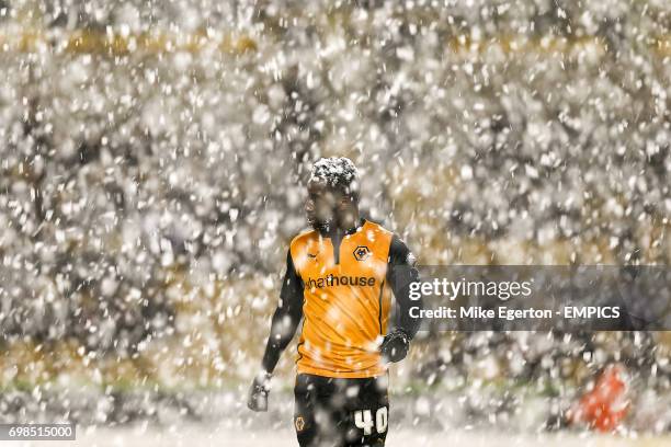 Nouha Dicko, Wolverhampton Wanderers.