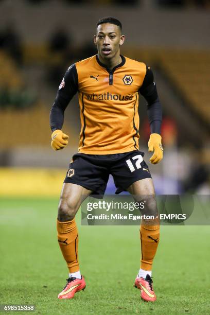 Rajiv van La Parra, Wolverhampton Wanderers