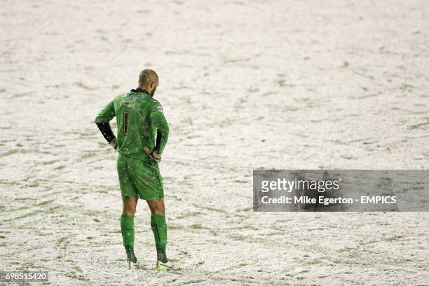 Wolverhampton Wanderers' keeper Carl Ikeme stands dejected in the snow