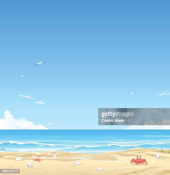 illustrazioni stock, clip art, cartoni animati e icone di tendenza di spiaggia di sabbia bianca - granchio