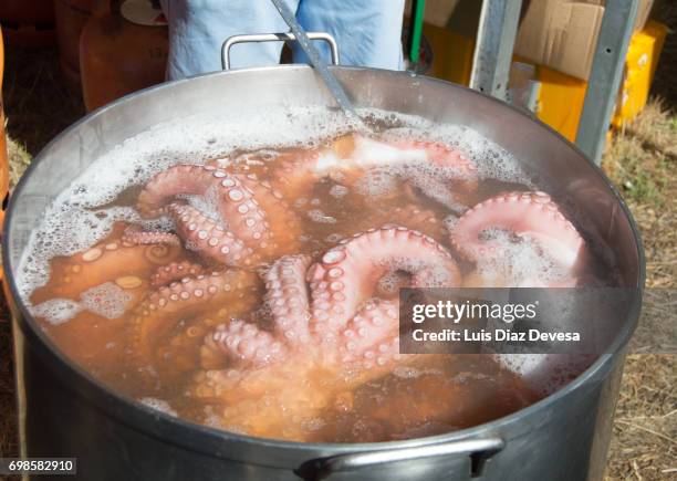 octopus in cooking pot - giant octopus stock pictures, royalty-free photos & images