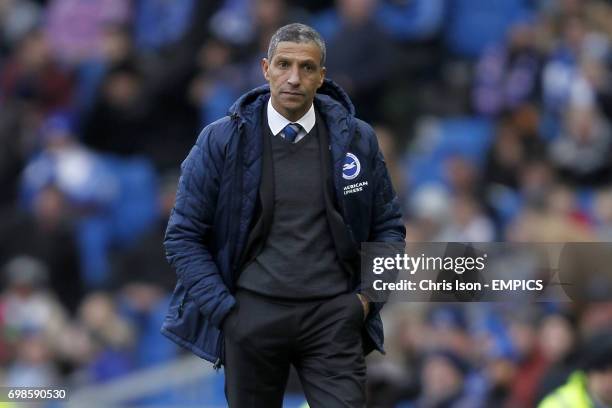 Brighton & Hove Albion manager Chris Hughton.