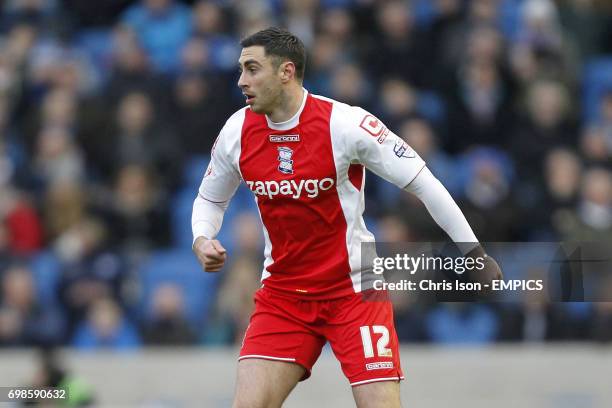 Birmingham City's Lee Novak