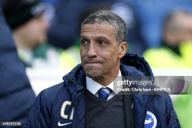 Brighton & Hove Albion manager Chris Hughton.