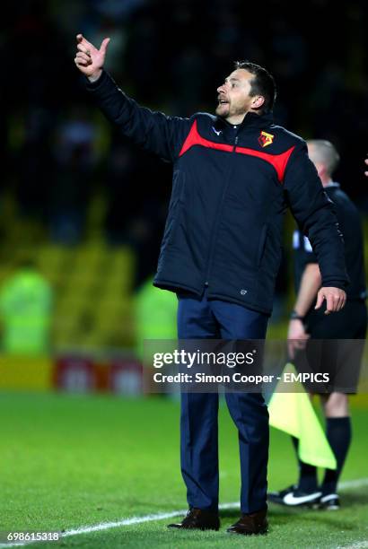 Watford manager Slavisa Jokanovic