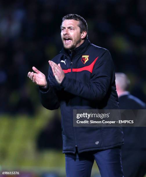 Watford manager Slavisa Jokanovic