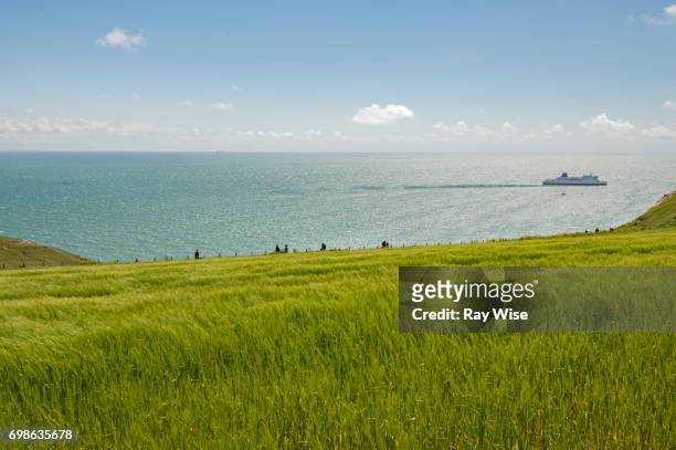 white cliffs of dover looking out to the english channel. - white cliffs of dover stock-fotos und bilder