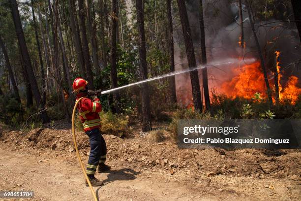 Firefighter battles a fire after a wildfire took dozens of lives on June 20, 2017 in near Picha, in Leiria district, Portugal. On Saturday night, a...