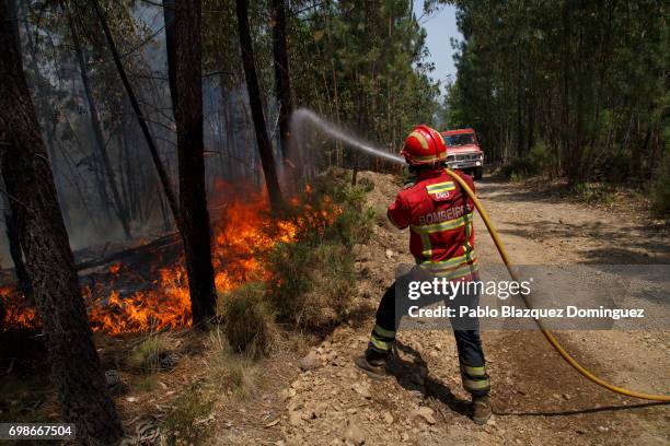 Firefighter battles a fire after a wildfire took dozens of lives on June 20, 2017 near Picha, in Leiria district, Portugal. On Saturday night, a...