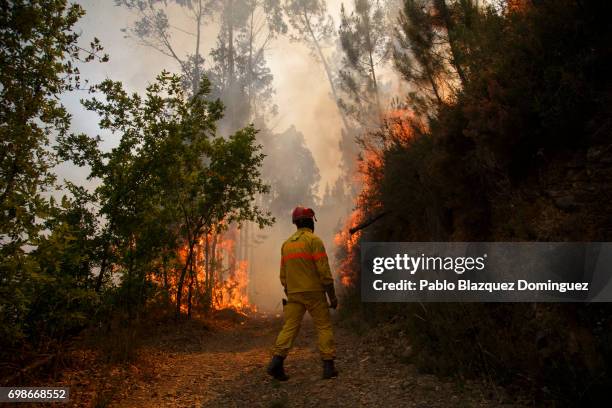 Firefighter watches flames approaching to Mega Fundeira village after a wildfire took dozens of lives on June 20, 2017 near Picha, in Leiria...