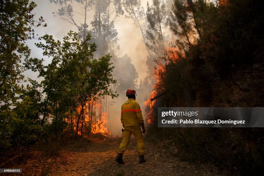 Dozens Dead In Forest Fire In Portugal