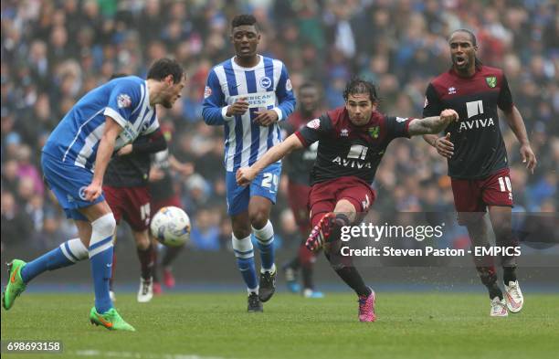 Norwich City's Bradley Johnson has a shot at goal