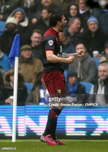 Norwich City's Bradley Johnson celebrates scoring his side's first goal