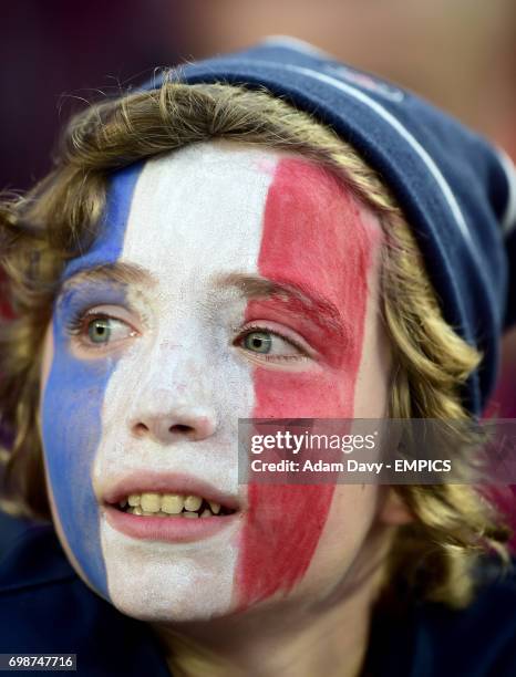 Paris Saint-Germain fan wearing face paint in the stands