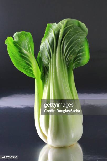 chinese cabbage bok choy (brassica rapa subsp chinensis) - brassica rapa stock pictures, royalty-free photos & images