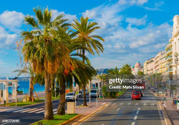 main street with palm trees and building in nice - nice promenade des anglais photos et images de collection